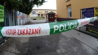 Opitý vodič v Bratislave narazil do stĺpa. Pri nehode sa zranili dve deti